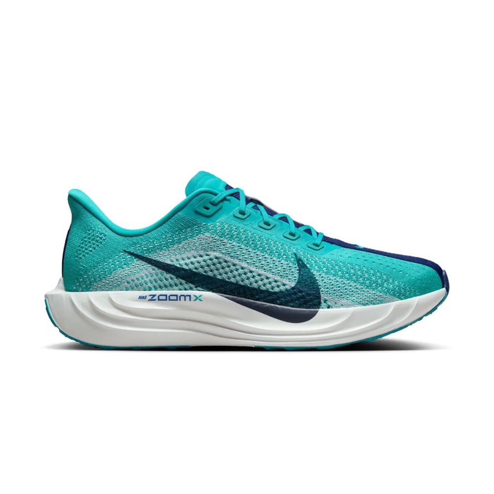 NWT Nike Pegasus Plus Women’s 9.5
